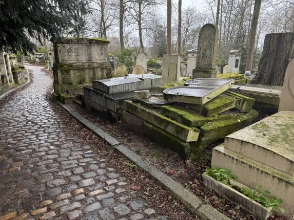 Here is the first glimpse