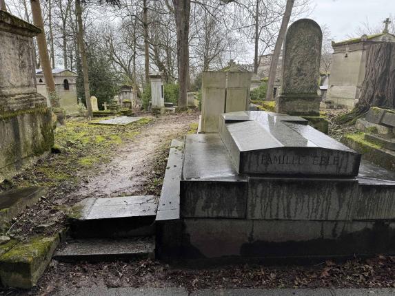 Here is the first glimpse